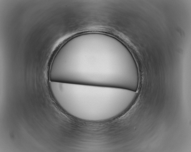 X0000111141222200906301010