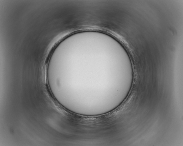 X0000111141223200906301010