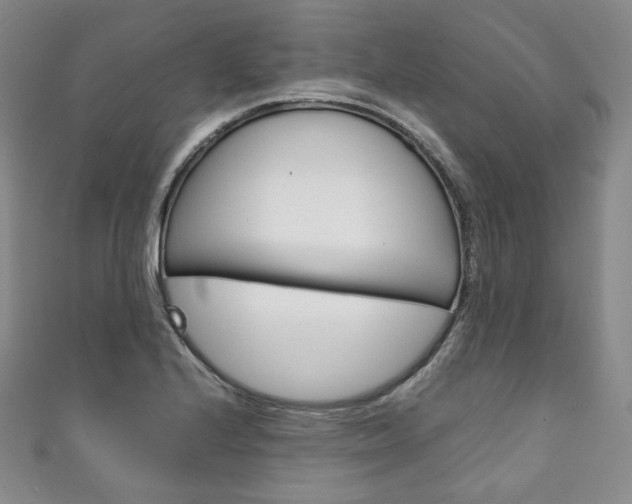 X0000111141224200906301010