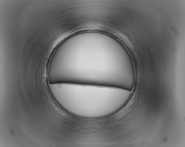 X0000111141226200906301010