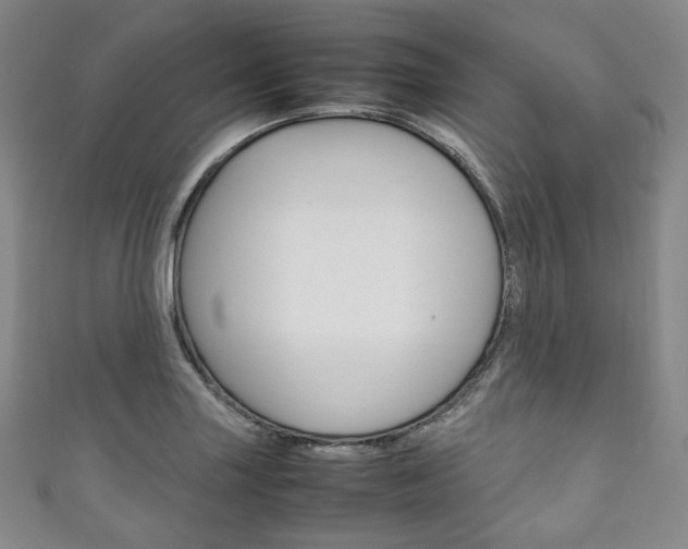 X0000111141227200906301010