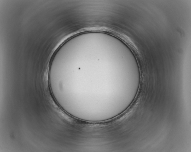 X0000111141228200906301010