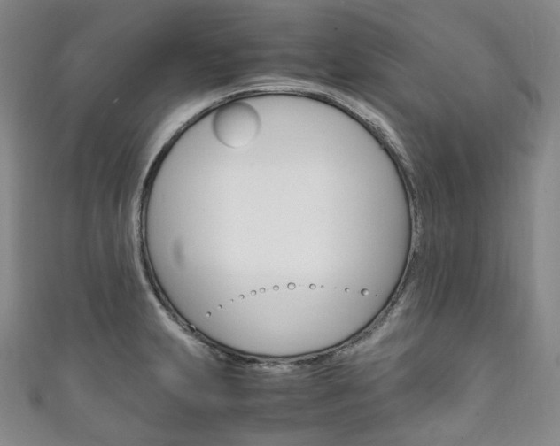 X0000111141231200906301010