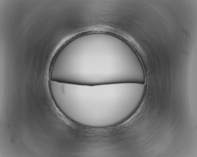 X0000111141232200906301010