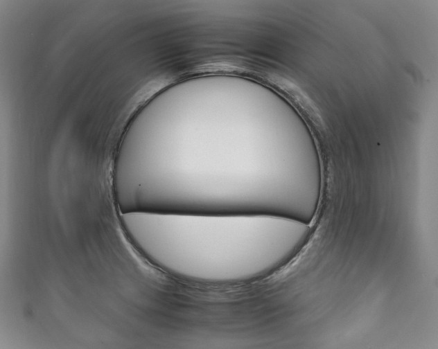 X0000111141233200906301010