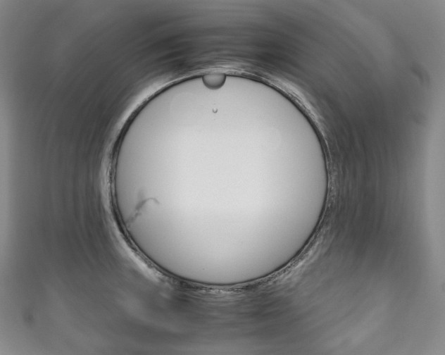 X0000111141235200906301010