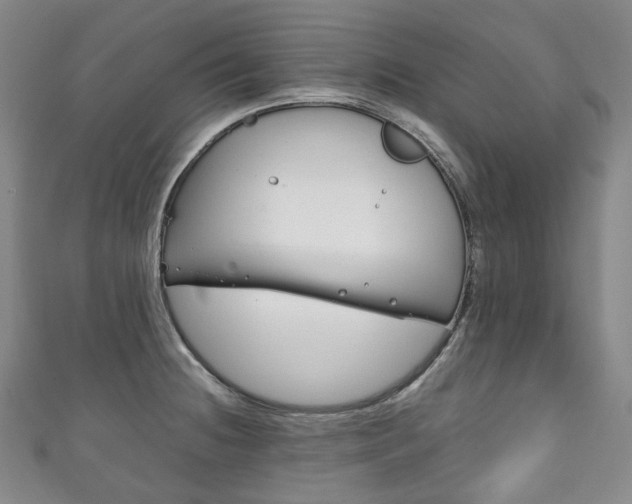 X0000111141236200906301010