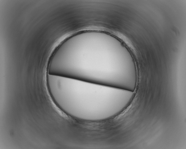 X0000111141237200906301010