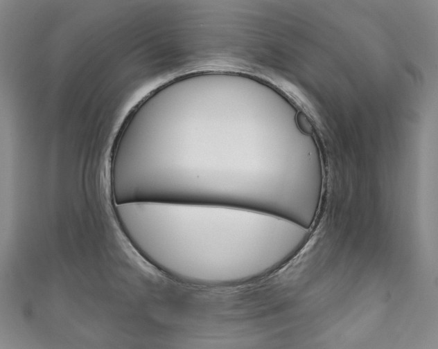 X0000111141238200906301010