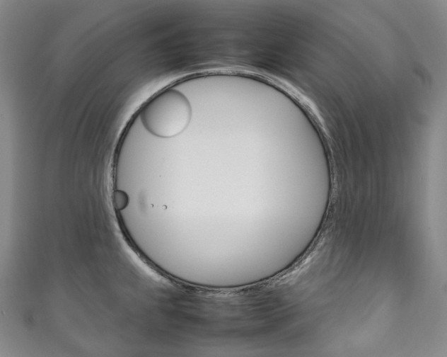 X0000111141239200906301010