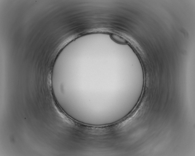X0000111141241200906301010