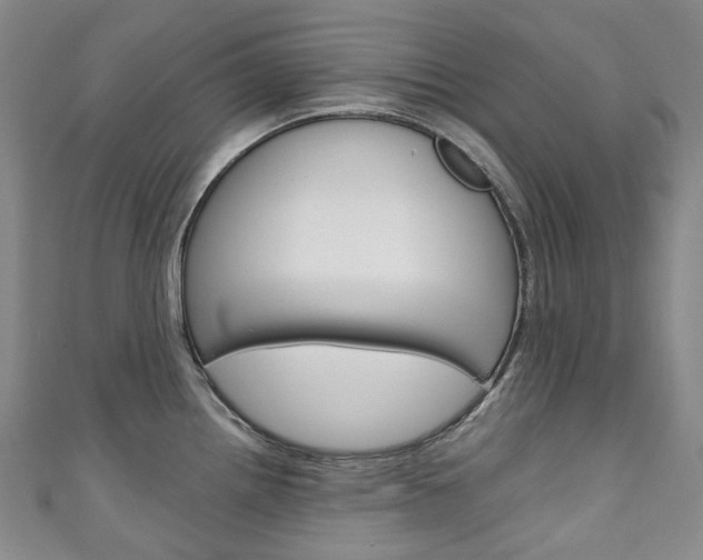 X0000111141242200906301010
