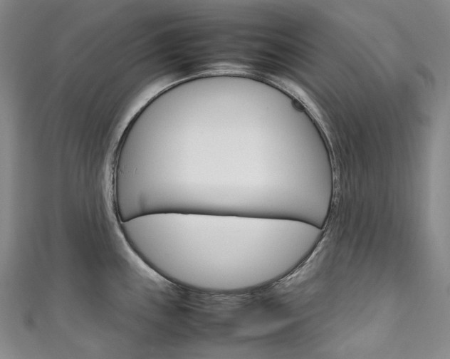 X0000111141243200906301010