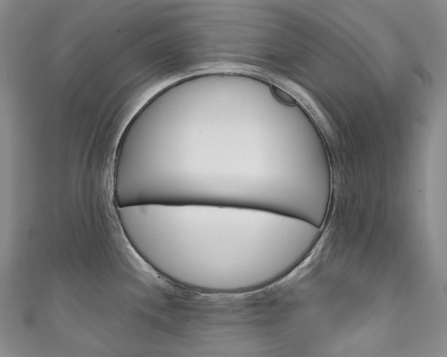 X0000111141244200906301010