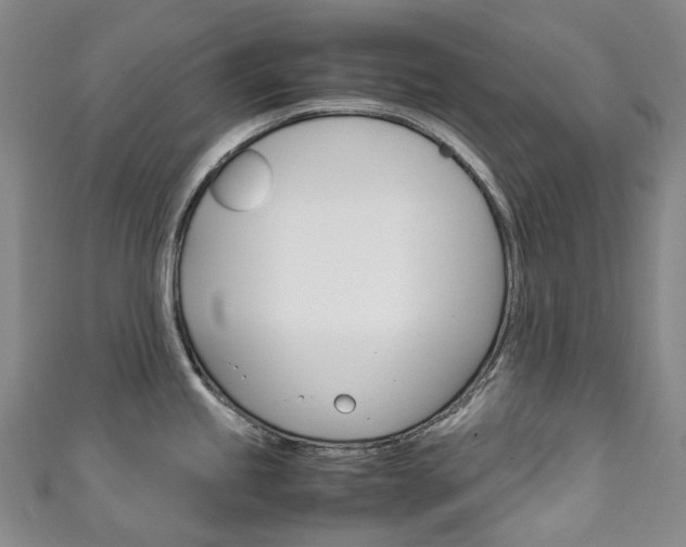 X0000111141245200906301010