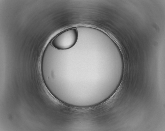X0000111141246200906301010