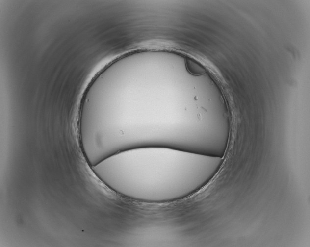 X0000111141248200906301010