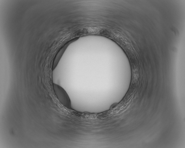 X0000111141249200906301010