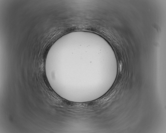 X0000111141251200906301010