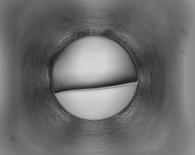 X0000111141252200906301010