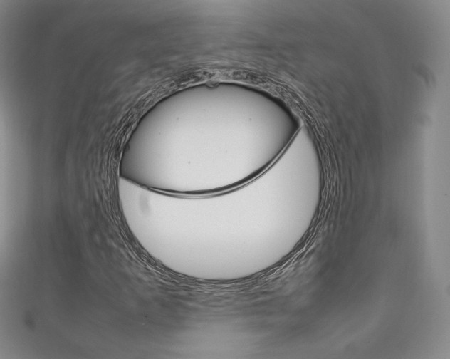 X0000111141253200906301010
