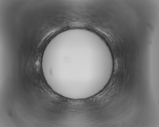 X0000111141254200906301010