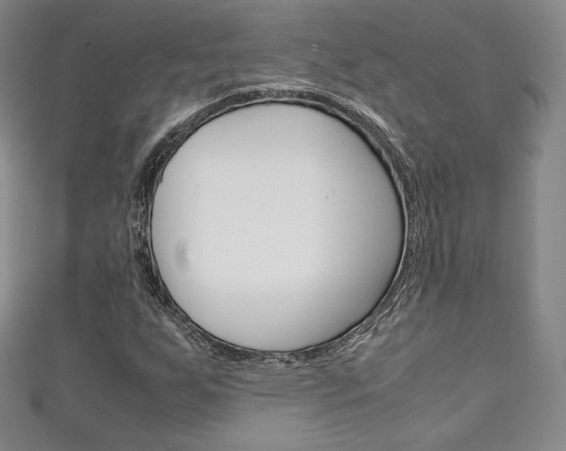 X0000111141255200906301010