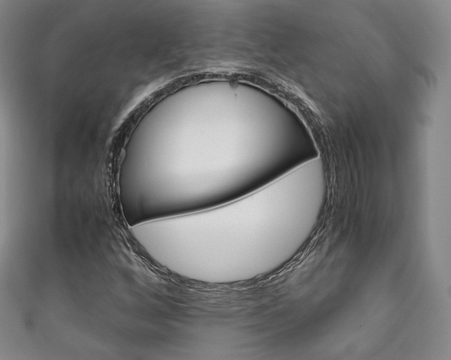 X0000111141256200906301010