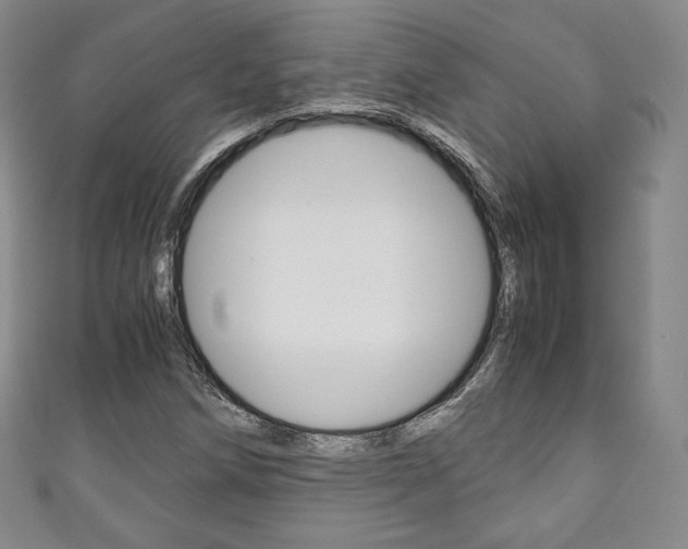 X0000111141258200906301010