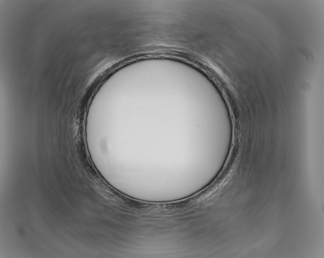 X0000111141259200906301010