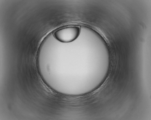 X0000111141260200906301010