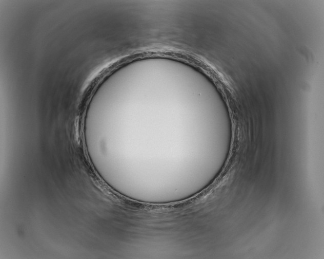 X0000111141262200906301010