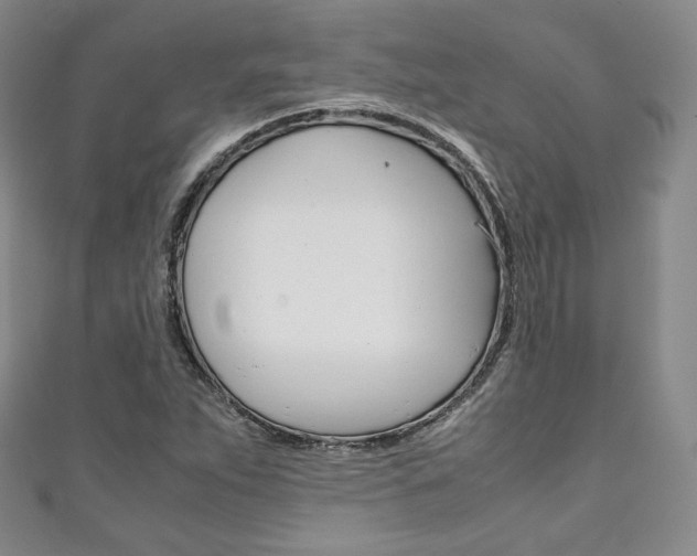 X0000111141263200906301010