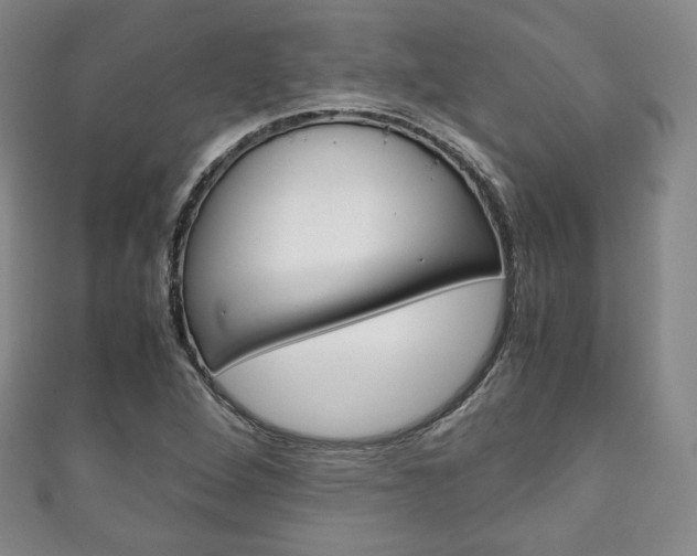 X0000111141264200906301010