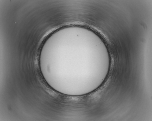X0000111141266200906301010