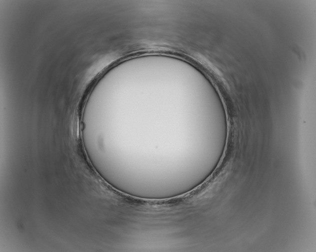 X0000111141269200906301010