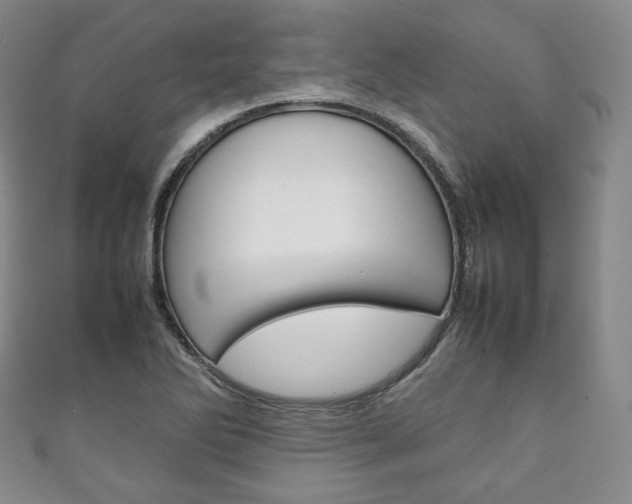 X0000111141270200906301010