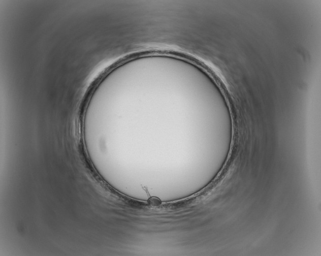 X0000111141271200906301010