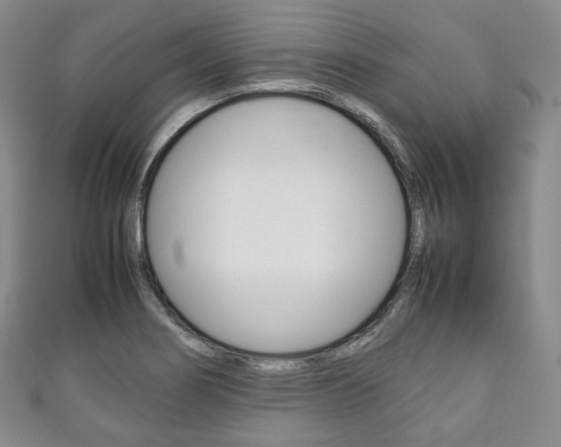 X0000111141274200906301010