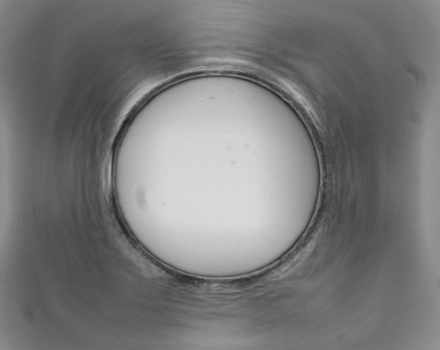 X0000111141275200906301010