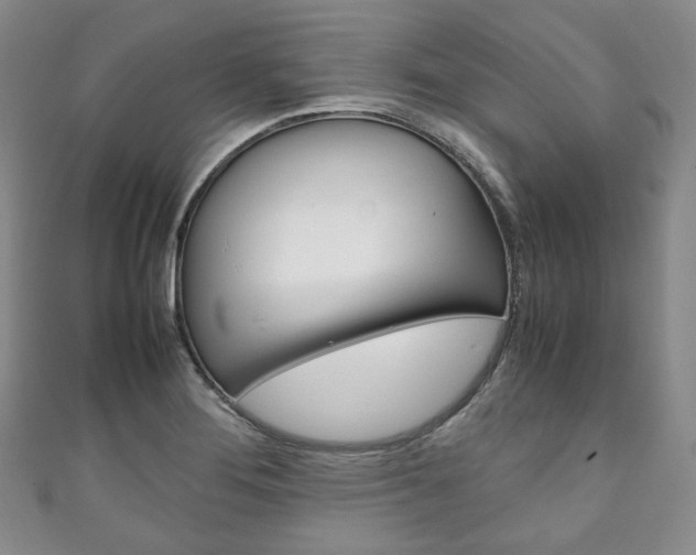 X0000111141276200906301009