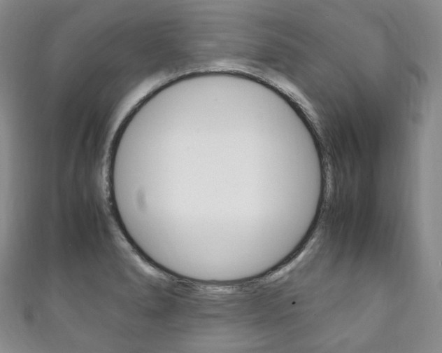 X0000111141278200906301009