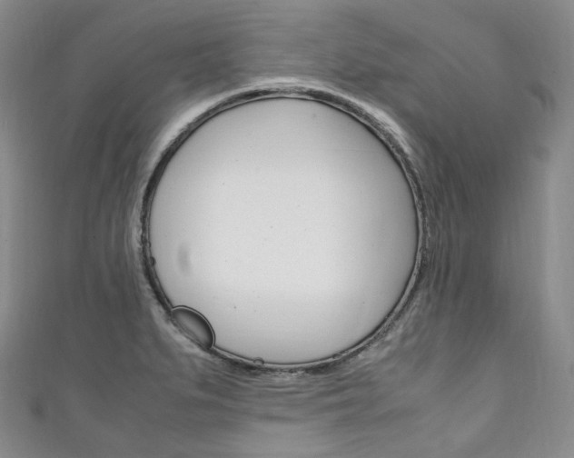 X0000111141279200906301009