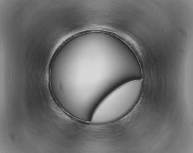 X0000111141280200906301009