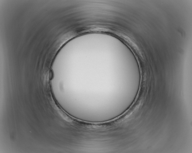X0000111141281200906301009