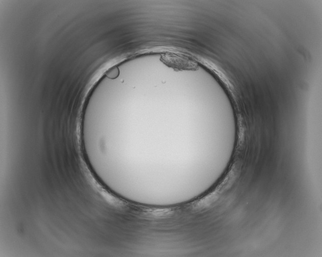 X0000111141282200906301009