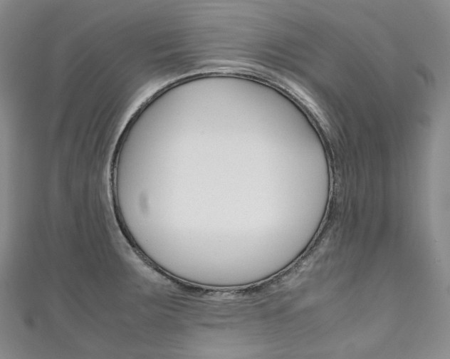 X0000111141283200906301009