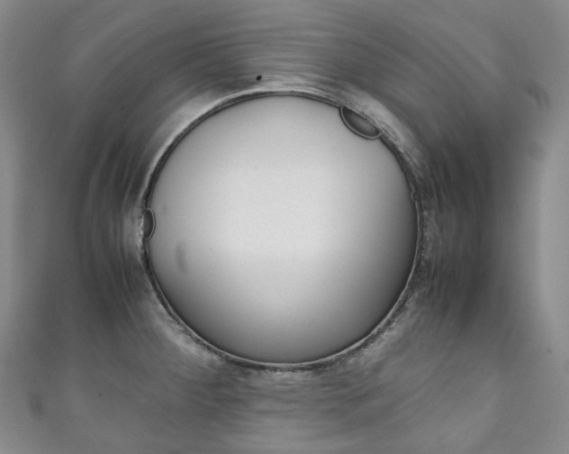 X0000111141284200906301009