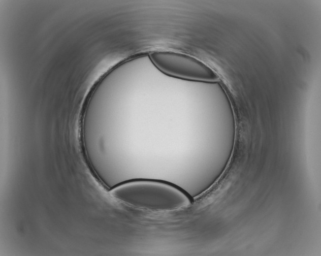 X0000111141285200906301009