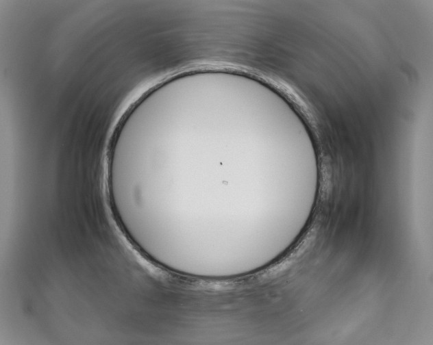 X0000111141286200906301009